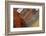 Bryggen, Bergen, UNESCO World Heritage Site, Hordaland, Norway, Scandinavia, Europe-Gary Cook-Framed Photographic Print