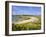 Bryner, Isles of Scilly, England, UK-David Lomax-Framed Photographic Print