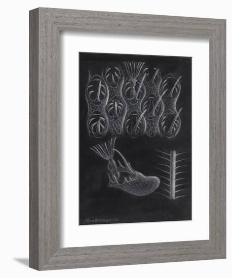 Bryozoa-Philip Henry Gosse-Framed Giclee Print