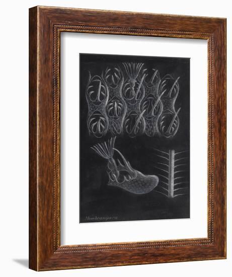 Bryozoa-Philip Henry Gosse-Framed Giclee Print