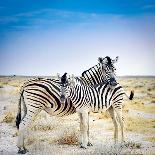 Zebra Mother and Her Foal in Etosha National Park,Namibia-brytta-Premier Image Canvas