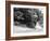 Bsa Motorbike Competing in the Motocross Des Nations, 1952-null-Framed Photographic Print