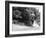 Bsa Motorbike Competing in the Motocross Des Nations, 1952-null-Framed Photographic Print