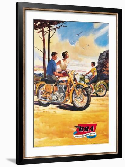 BSA-null-Framed Art Print