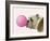 Bubble Hound - Boom-Assaf Frank-Framed Art Print