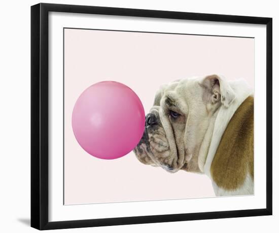 Bubble Hound-Assaf Frank-Framed Giclee Print