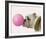 Bubble Hound-Assaf Frank-Framed Giclee Print