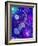 Bubble Moon-MusicDreamerArt-Framed Giclee Print