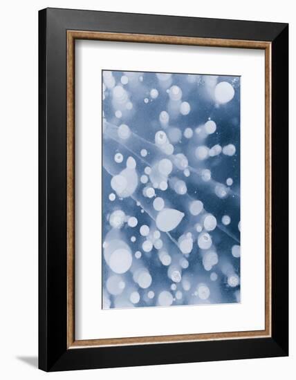 Bubble pattern in midwinter ice, Abraham Lake, Alberta, Canada-Panoramic Images-Framed Photographic Print