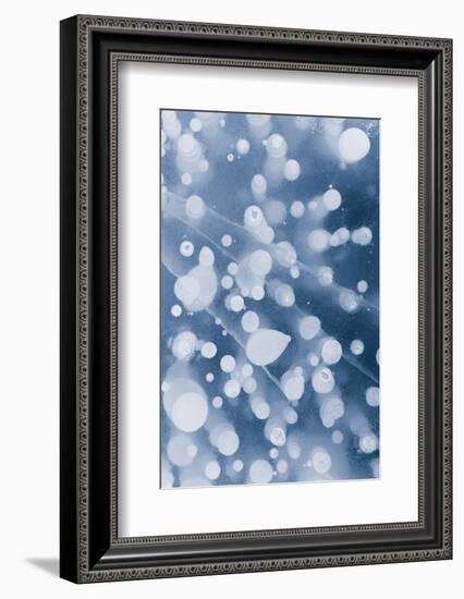 Bubble pattern in midwinter ice, Abraham Lake, Alberta, Canada-Panoramic Images-Framed Photographic Print