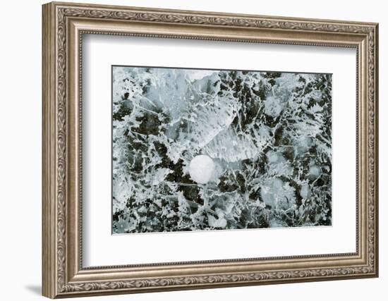 Bubble pattern in midwinter ice, Abraham Lake, Alberta, Canada-Panoramic Images-Framed Photographic Print