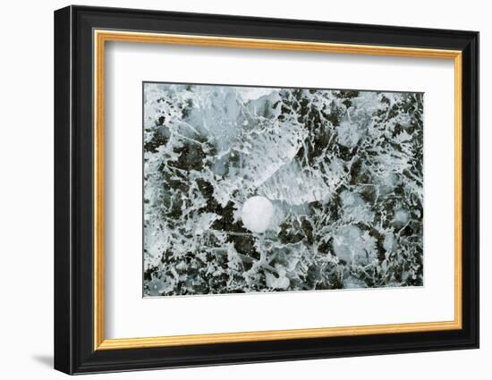 Bubble pattern in midwinter ice, Abraham Lake, Alberta, Canada-Panoramic Images-Framed Photographic Print