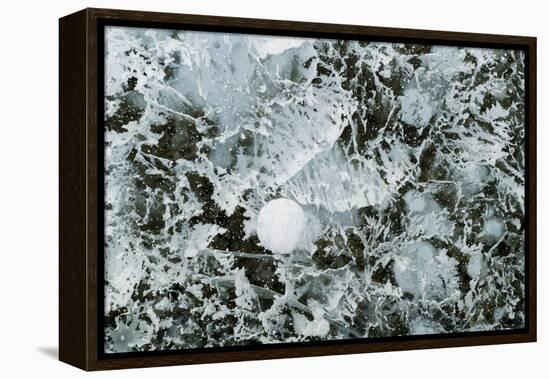 Bubble pattern in midwinter ice, Abraham Lake, Alberta, Canada-Panoramic Images-Framed Premier Image Canvas