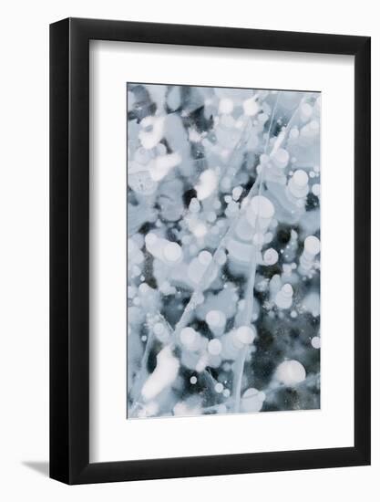 Bubble pattern in midwinter ice, Abraham Lake, Alberta, Canada-Panoramic Images-Framed Photographic Print