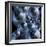 Bubble Universes-Detlev Van Ravenswaay-Framed Premium Photographic Print