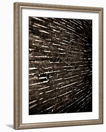 Bubblebuzz-Fabio Panichi-Framed Photographic Print