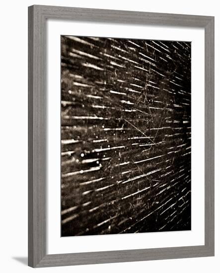 Bubblebuzz-Fabio Panichi-Framed Photographic Print