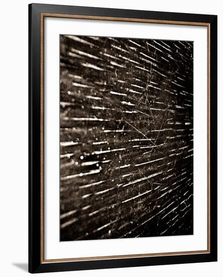 Bubblebuzz-Fabio Panichi-Framed Photographic Print