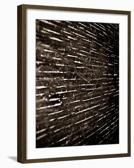 Bubblebuzz-Fabio Panichi-Framed Photographic Print