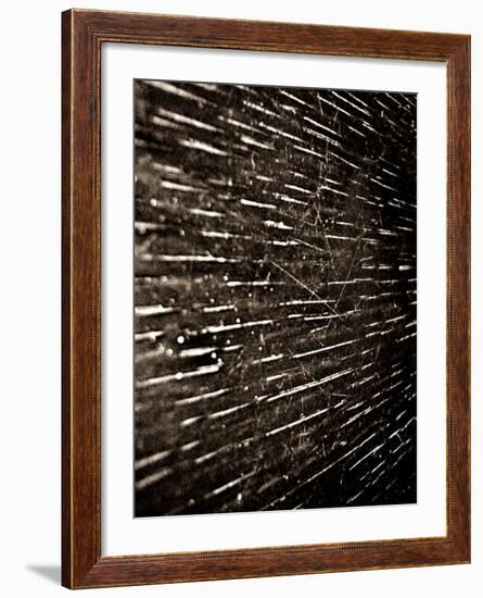 Bubblebuzz-Fabio Panichi-Framed Photographic Print