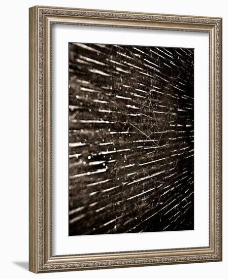 Bubblebuzz-Fabio Panichi-Framed Photographic Print