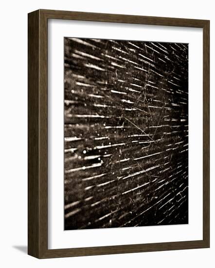 Bubblebuzz-Fabio Panichi-Framed Photographic Print