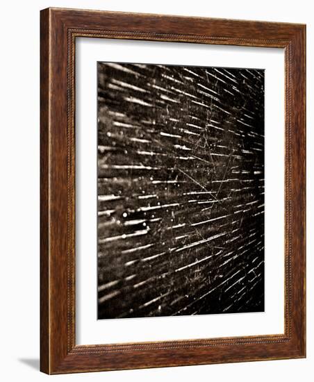 Bubblebuzz-Fabio Panichi-Framed Photographic Print