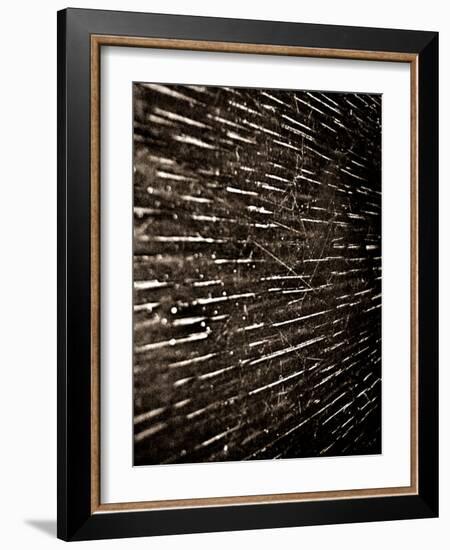 Bubblebuzz-Fabio Panichi-Framed Photographic Print