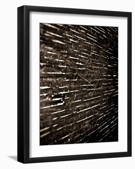 Bubblebuzz-Fabio Panichi-Framed Photographic Print