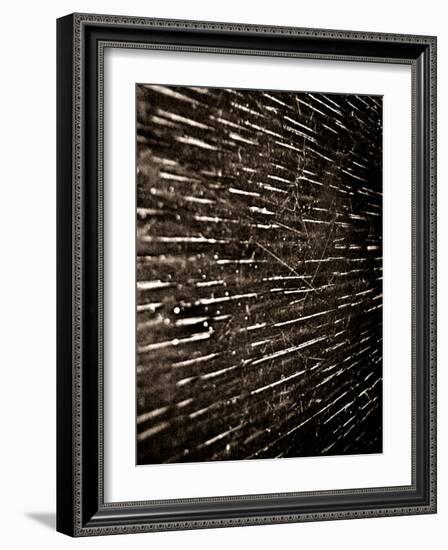 Bubblebuzz-Fabio Panichi-Framed Photographic Print