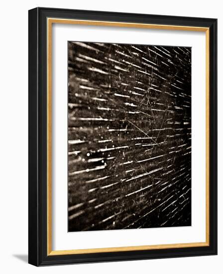 Bubblebuzz-Fabio Panichi-Framed Photographic Print