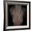 Bubblelist-Fabio Panichi-Framed Photographic Print