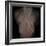 Bubblelist-Fabio Panichi-Framed Photographic Print