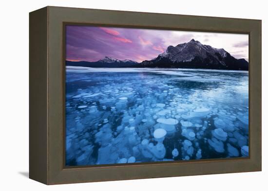 Bubbles and Cracks in the Ice-Miles Ertman-Framed Premier Image Canvas