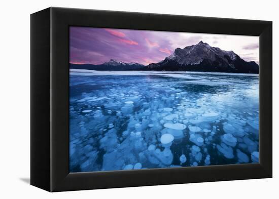 Bubbles and Cracks in the Ice-Miles Ertman-Framed Premier Image Canvas