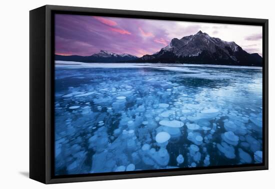 Bubbles and Cracks in the Ice-Miles Ertman-Framed Premier Image Canvas