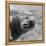 Bubbles-C.S. Tjandra-Framed Premier Image Canvas