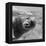 Bubbles-C.S. Tjandra-Framed Premier Image Canvas