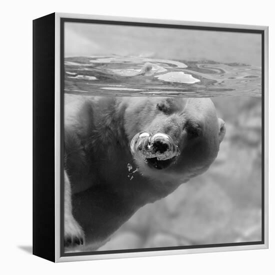 Bubbles-C.S. Tjandra-Framed Premier Image Canvas