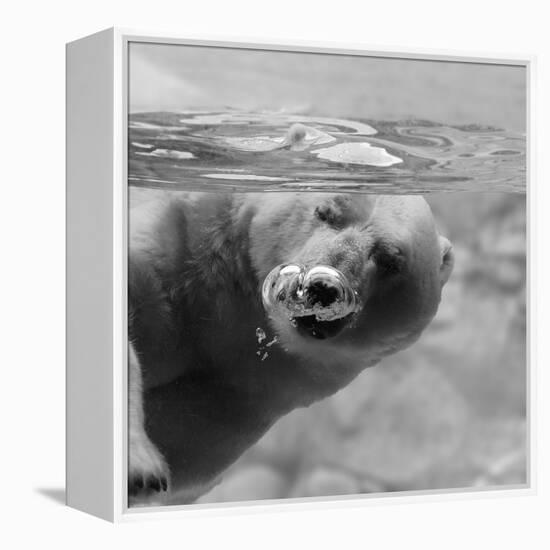 Bubbles-C.S. Tjandra-Framed Premier Image Canvas