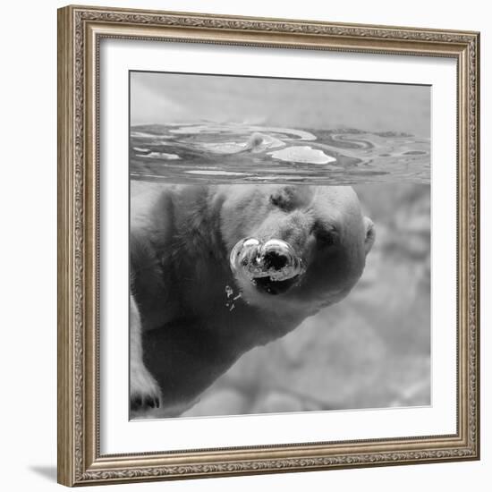 Bubbles-C.S. Tjandra-Framed Photographic Print