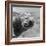 Bubbles-C.S. Tjandra-Framed Photographic Print