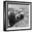 Bubbles-C.S. Tjandra-Framed Photographic Print