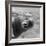 Bubbles-C.S. Tjandra-Framed Photographic Print