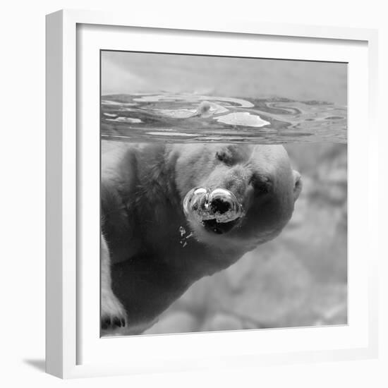 Bubbles-C.S. Tjandra-Framed Photographic Print