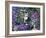 Bubbles-Hilary Jones-Framed Giclee Print