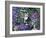 Bubbles-Hilary Jones-Framed Giclee Print