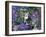 Bubbles-Hilary Jones-Framed Giclee Print