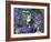 Bubbles-Hilary Jones-Framed Giclee Print