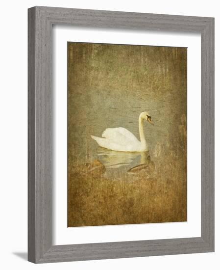 Bubblexs-Lynne Davies-Framed Photographic Print